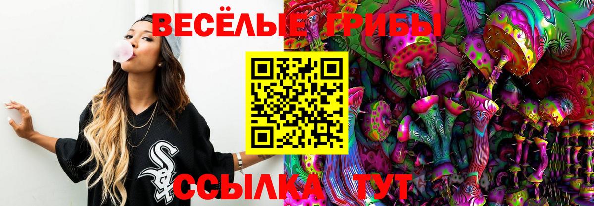 Спасск-Дальний  наркошоп  Вход с VPN  Галлюциногенные грибы MAGIC MUSHROOMS 